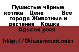 Пушистые чёрные котики › Цена ­ 100 - Все города Животные и растения » Кошки   . Адыгея респ.